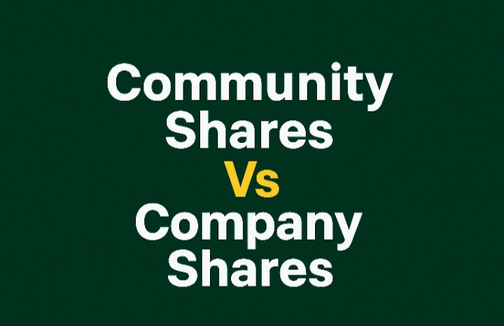 Constructive Comparison of Community Shares and Company Shares — A Case Study of FAfCom